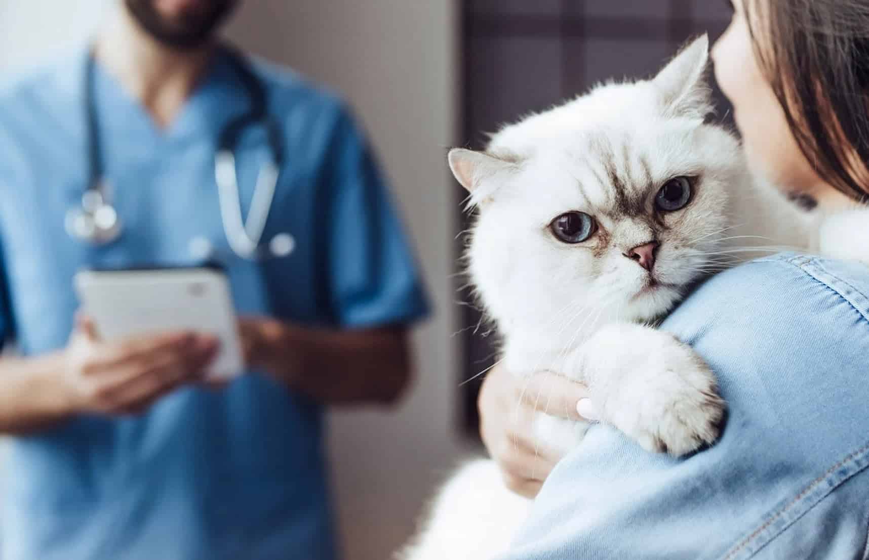 veteriner koruyucu hekimlik uygulamaları