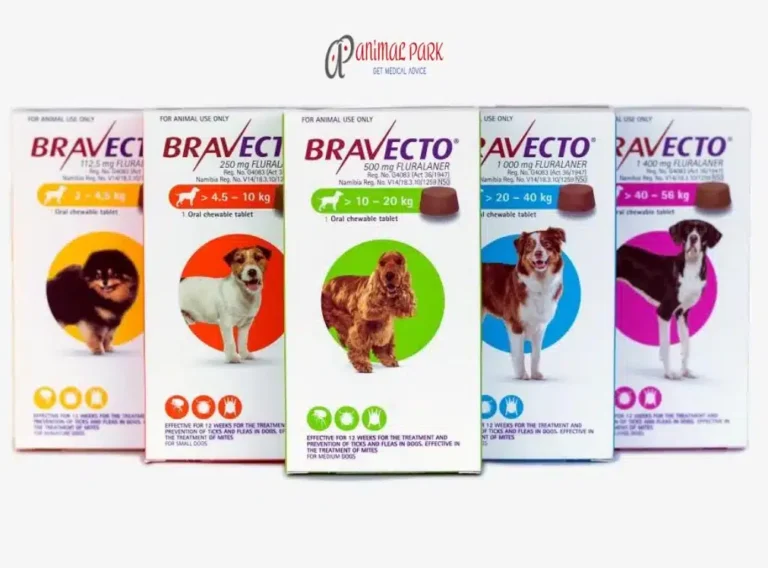 bravecto