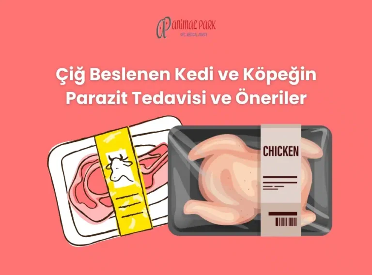 köpekler çiğ et yer mi